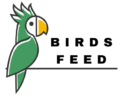 Birds Feed